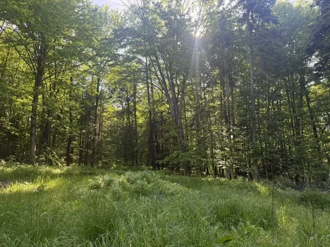 0 Roaring Brook Road Barton VT 05822