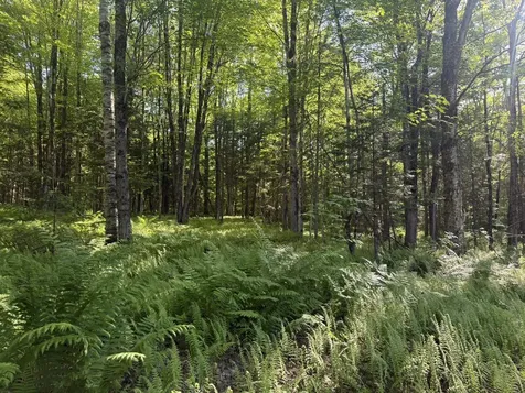 0 Roaring Brook Road Barton VT 05822