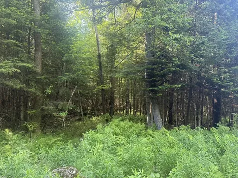 0 Roaring Brook Road Barton VT 05822