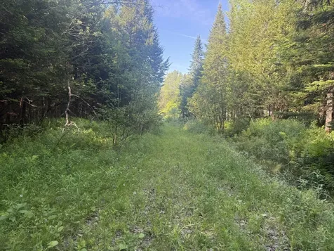 0 Roaring Brook Road Barton VT 05822