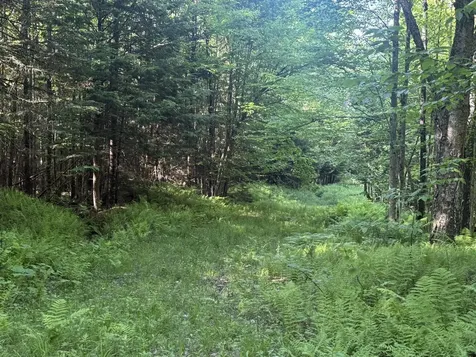 0 Roaring Brook Road Barton VT 05822