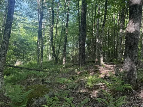 0 Roaring Brook Road Barton VT 05822
