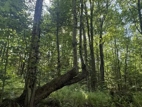 0 Roaring Brook Road Barton VT 05822