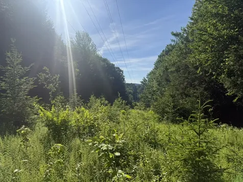 0 Roaring Brook Road Barton VT 05822
