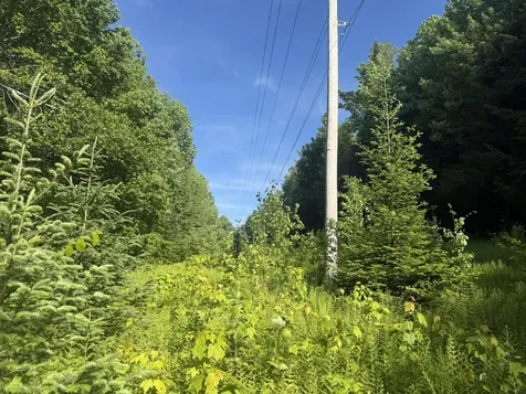 0 Roaring Brook Road Barton VT 05822