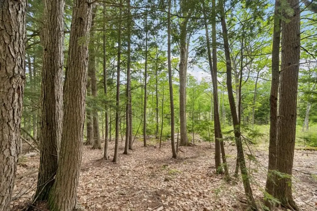 00 Corno Road Canaan NH 03741