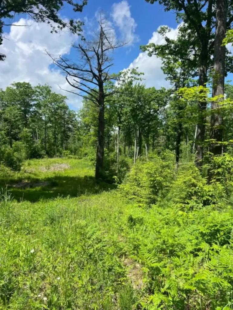 00 Corno Road Canaan NH 03741