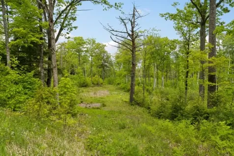 00 Corno Road Canaan NH 03741