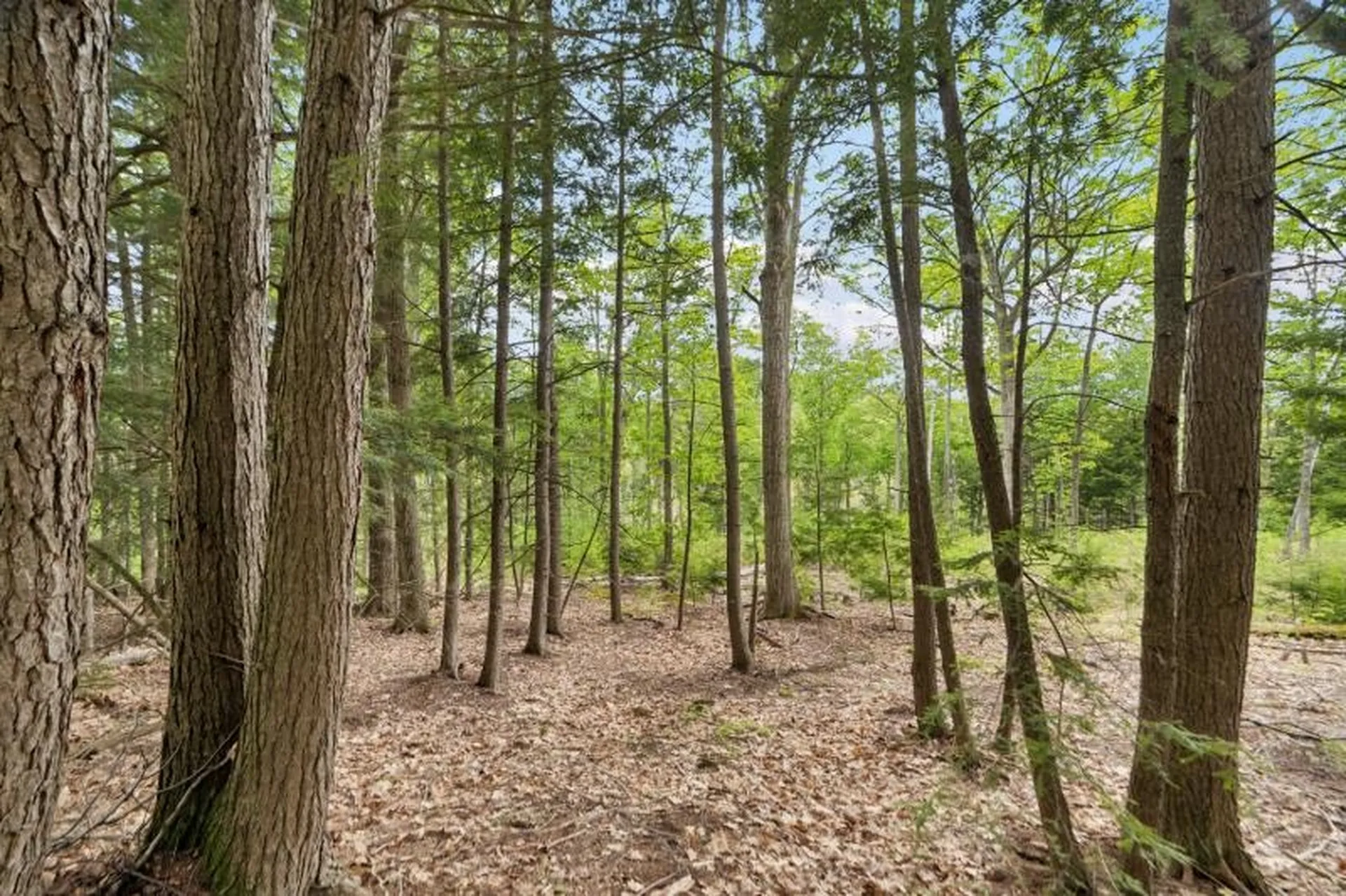 00 Corno Road Canaan NH 03741