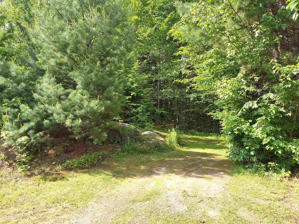 82 Detour Road Webster NH 03303