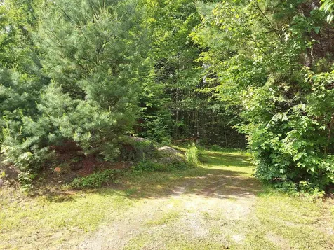 82 Detour Road Webster NH 03303