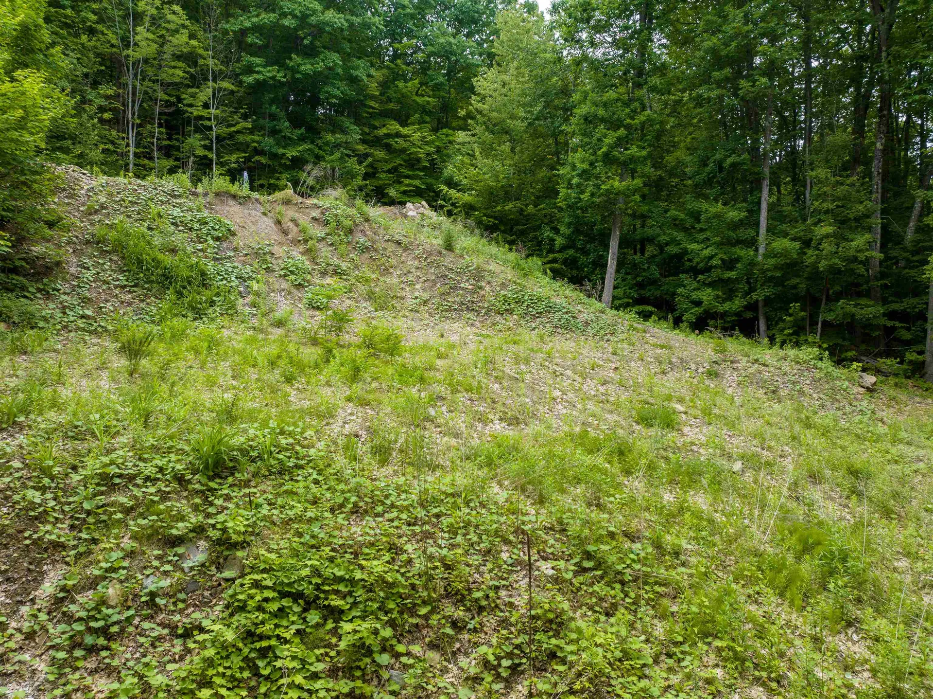 30 Greenleaf Trail Gilford NH 03249