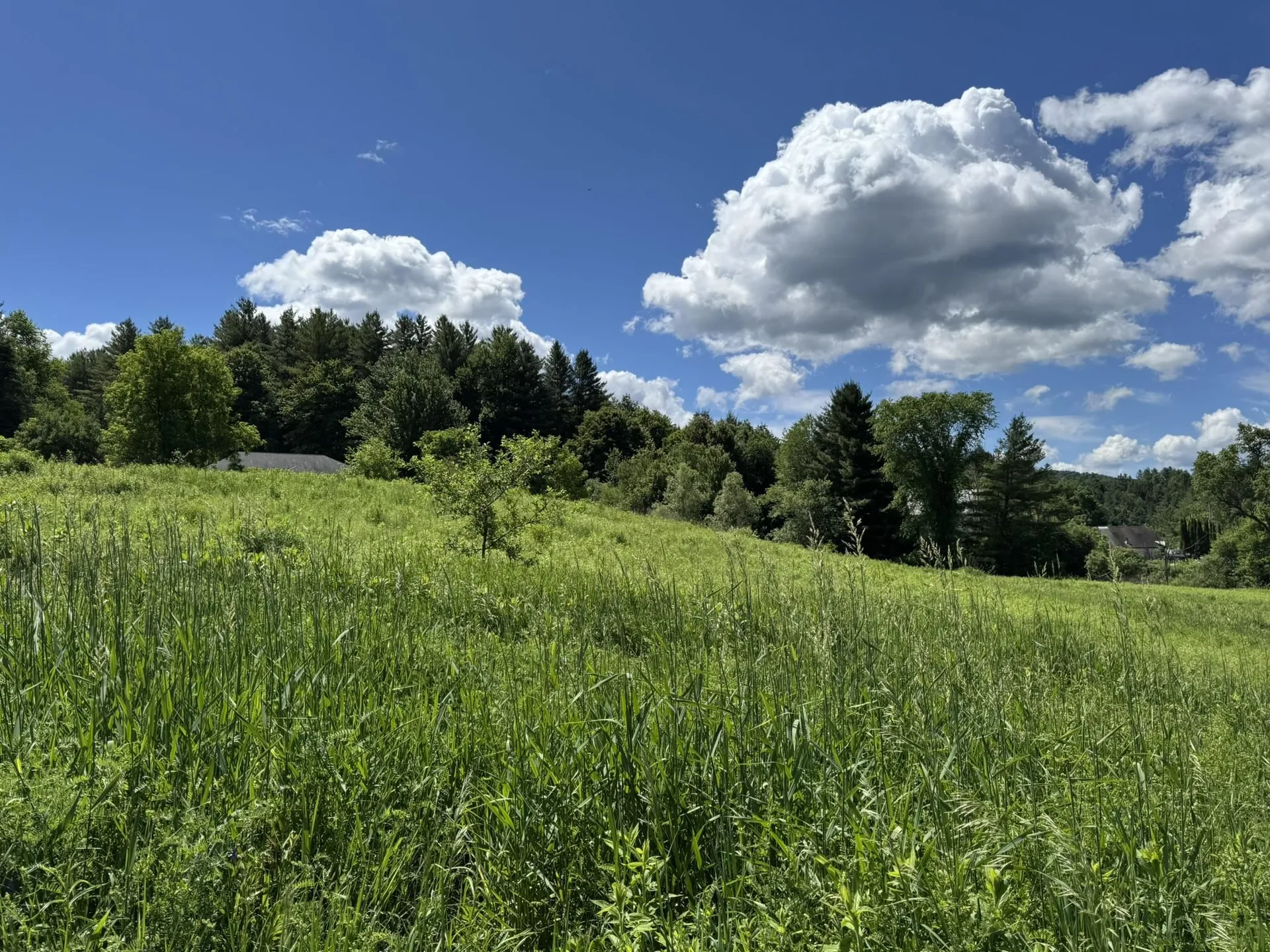 0 Old Farm Road Stowe VT 05672