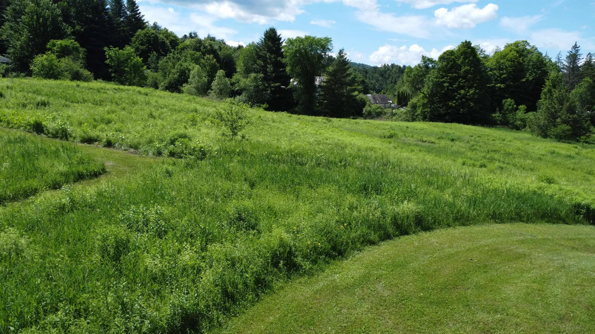 0 Old Farm Road Stowe VT 05672
