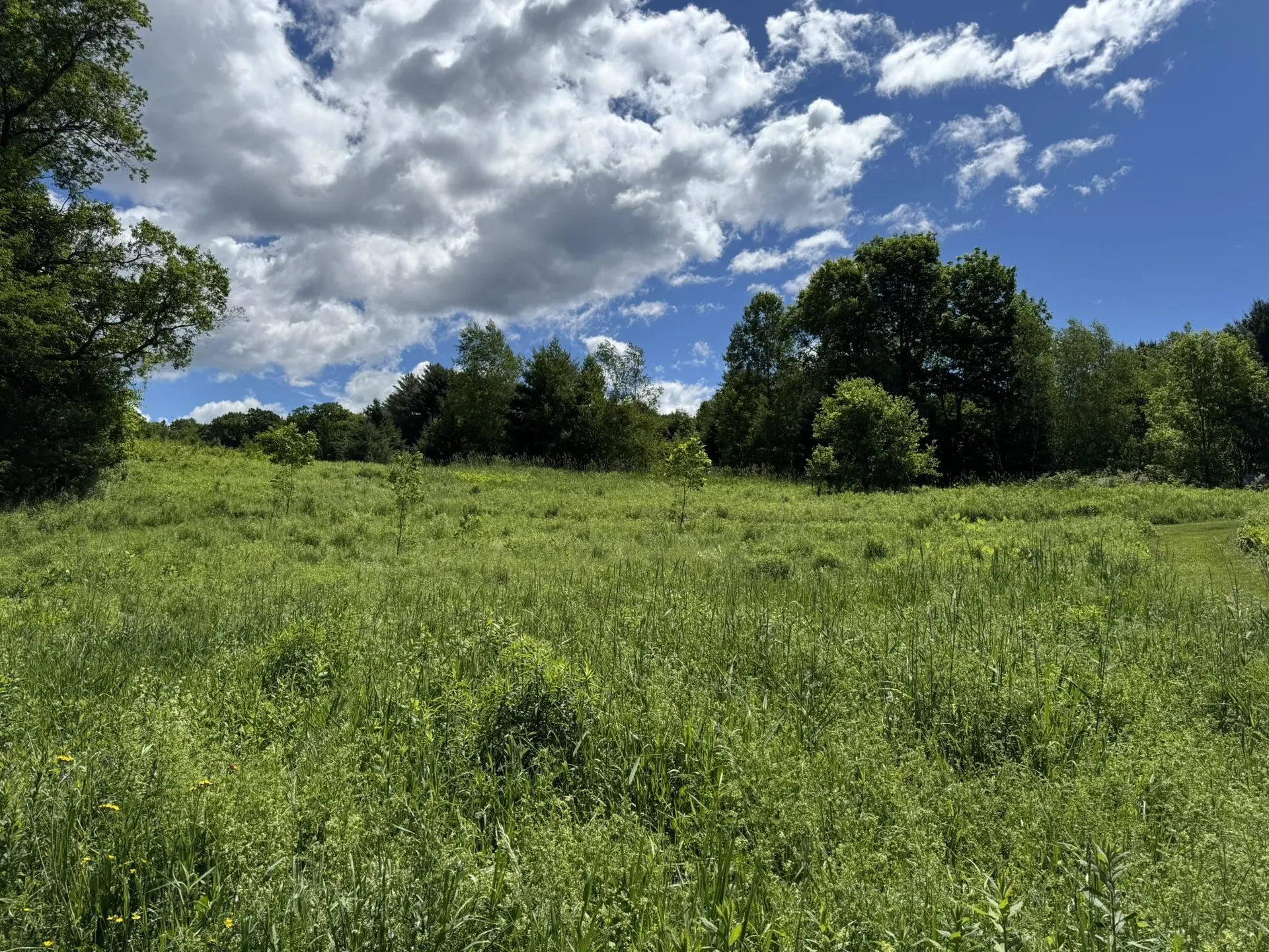 0 Old Farm Road Stowe VT 05672