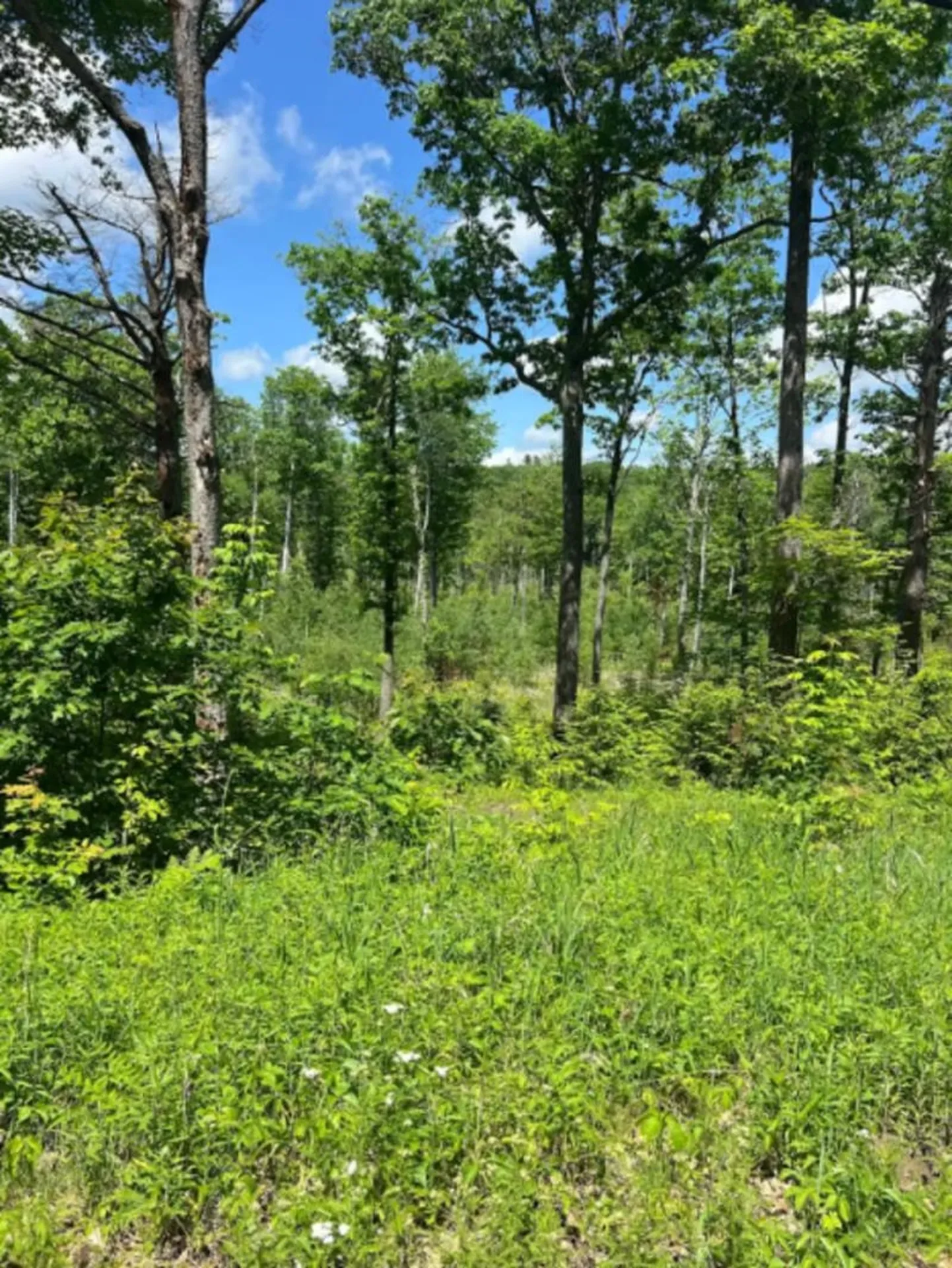 00 Corno Road And Canaan Street Canaan NH 03741