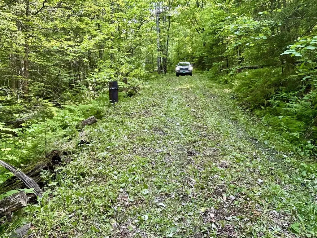 000 Williamstown Road Chelsea VT 05038