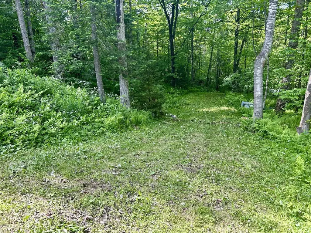 000 Williamstown Road Chelsea VT 05038