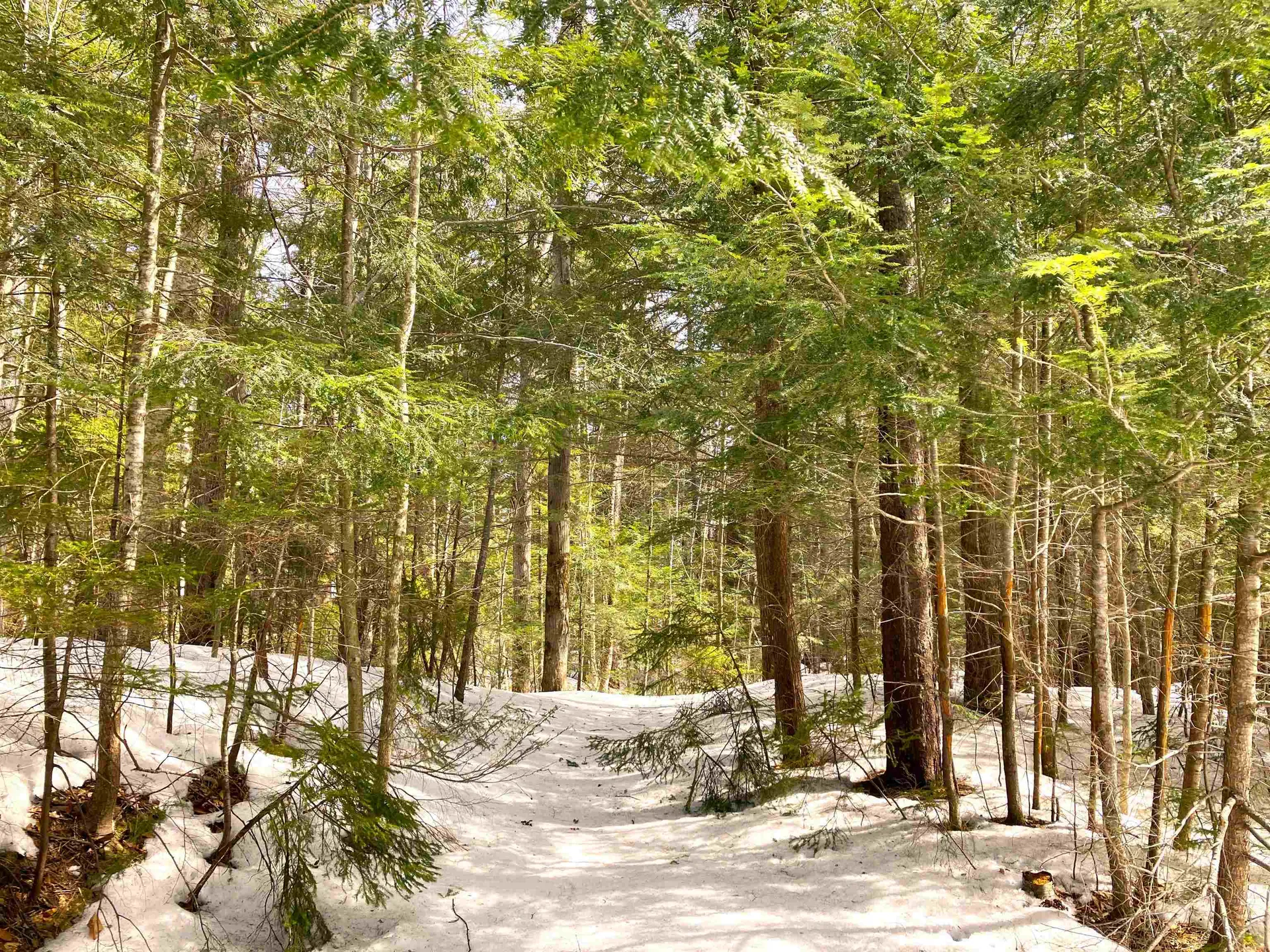 40 Arctic Circle Wilmington VT 05363