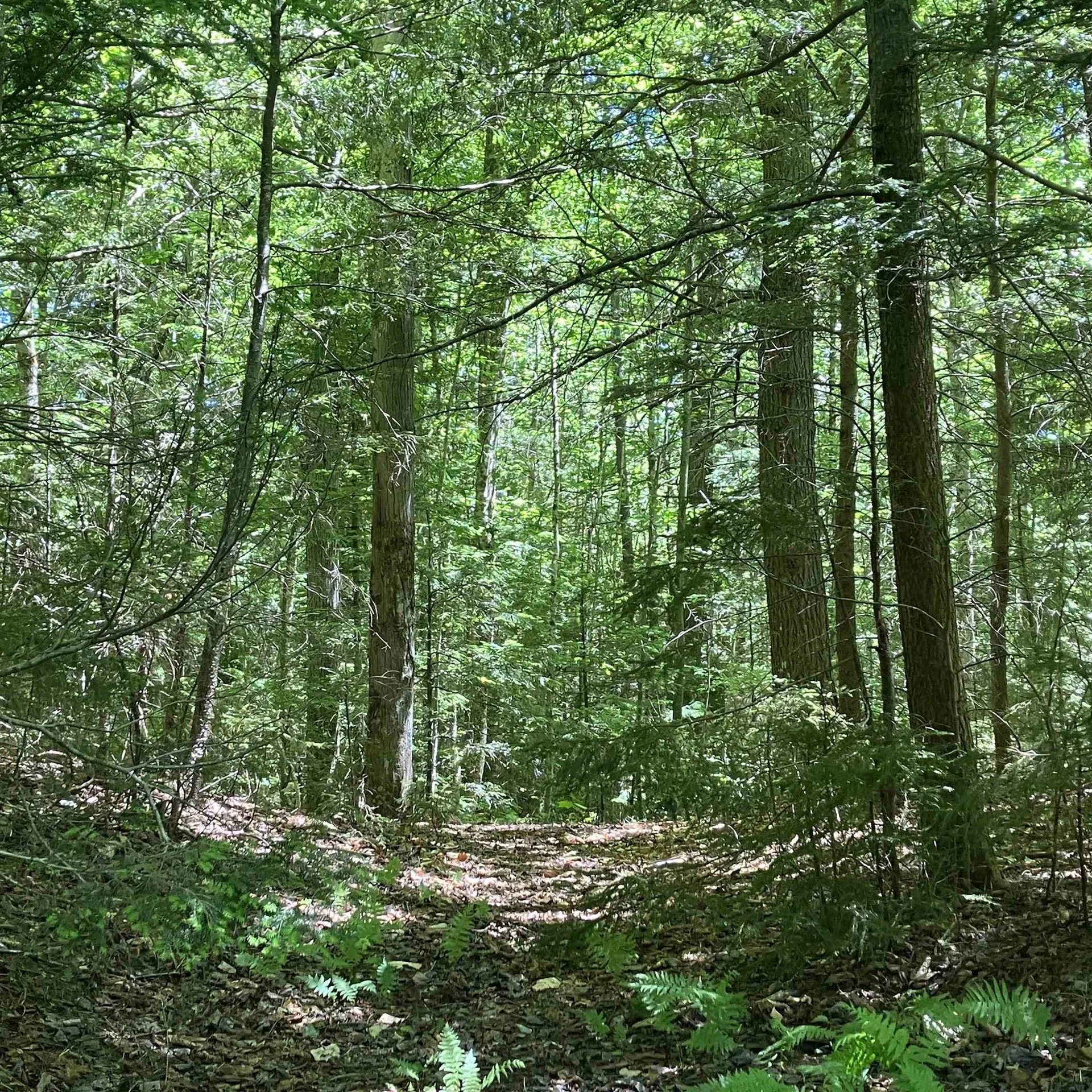 40 Arctic Circle Wilmington VT 05363