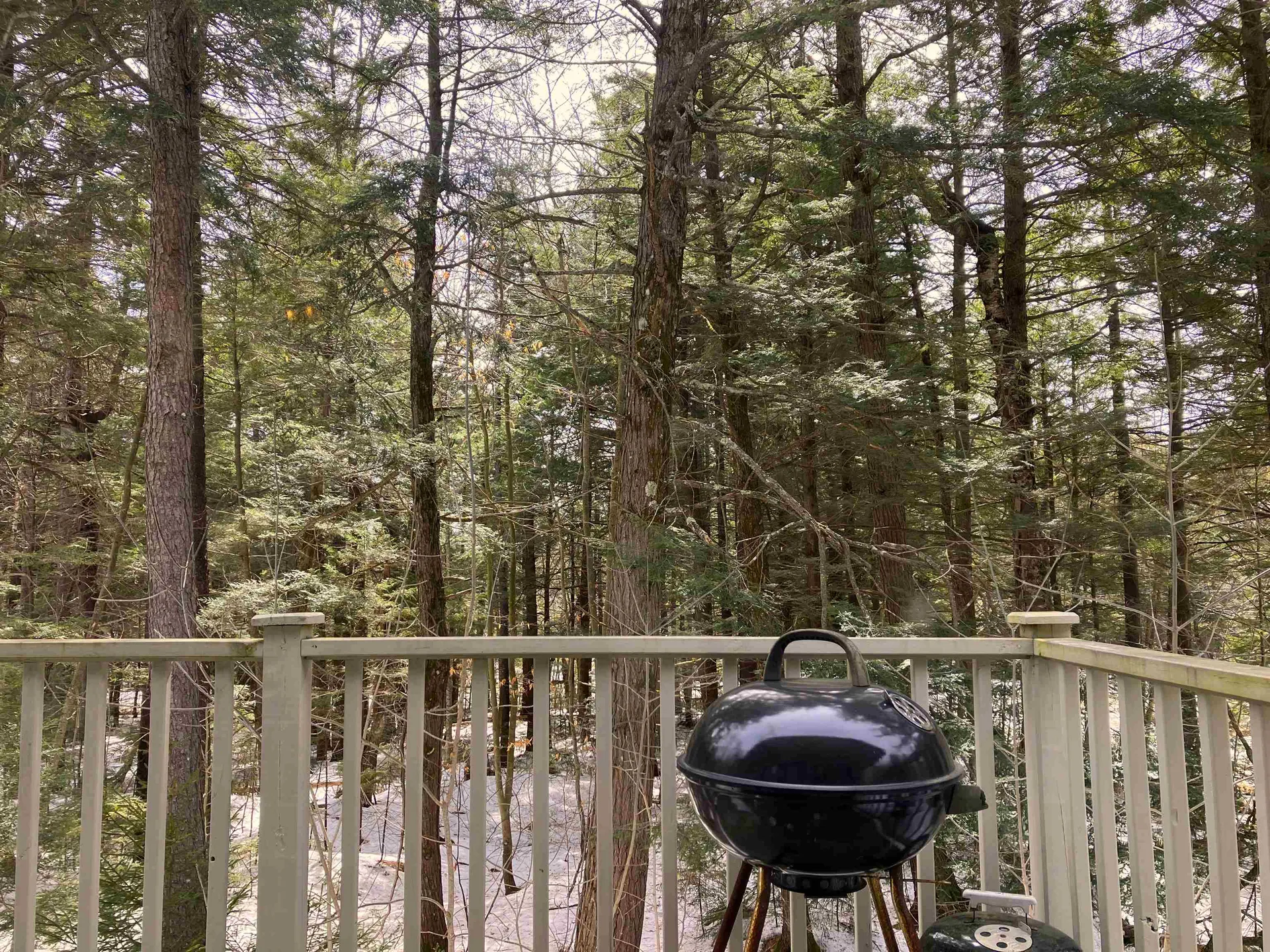 40 Arctic Circle Wilmington VT 05363