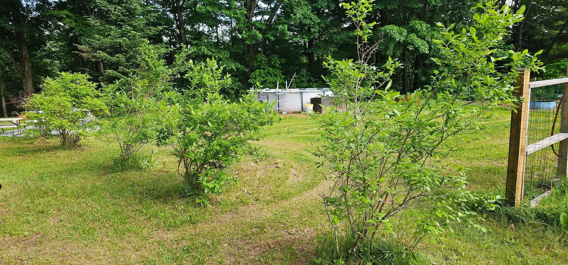 1745 Vt Route 100 Lowell VT 05847