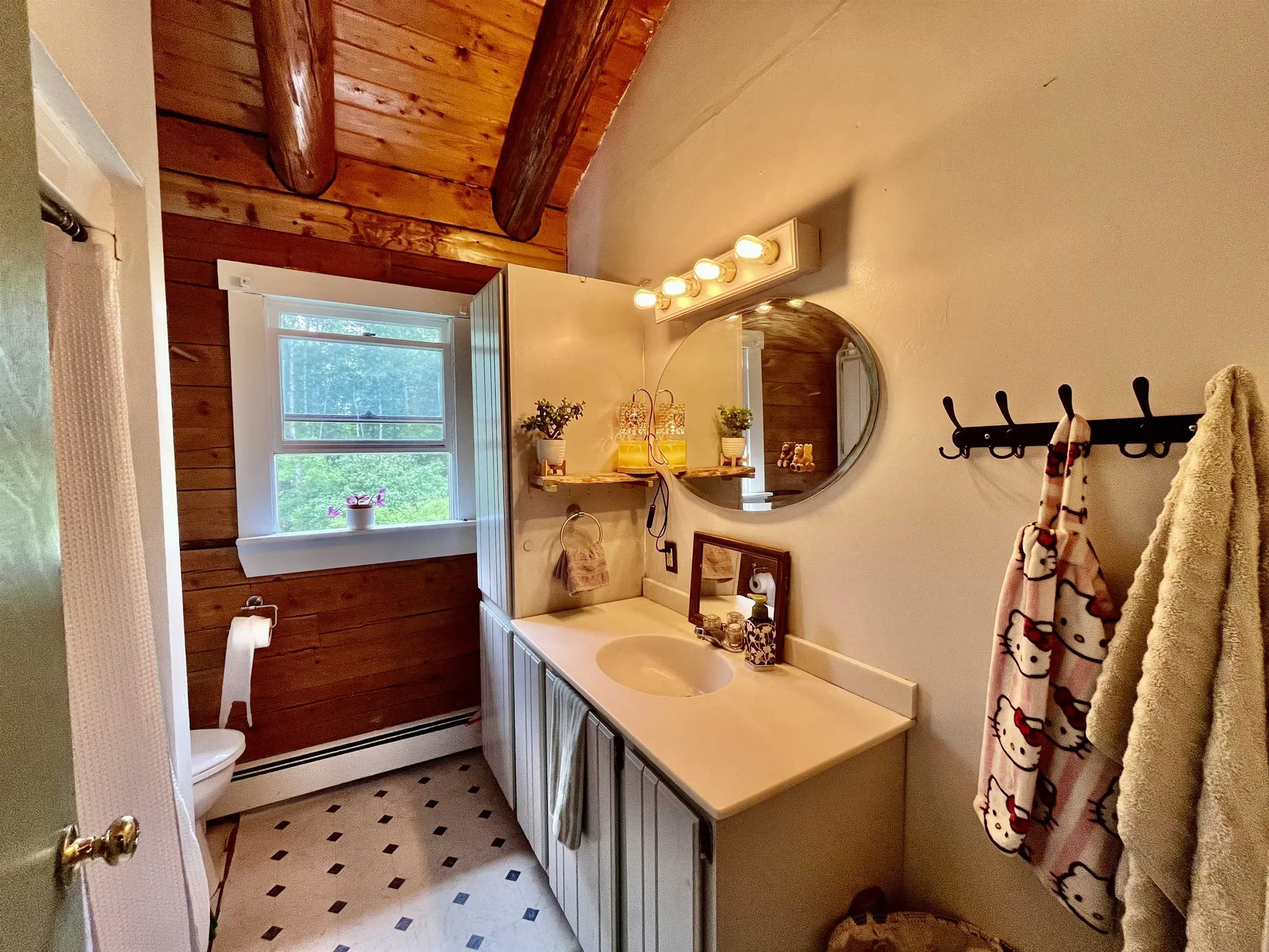 204 Chickwolnepy Road Milan NH 03588