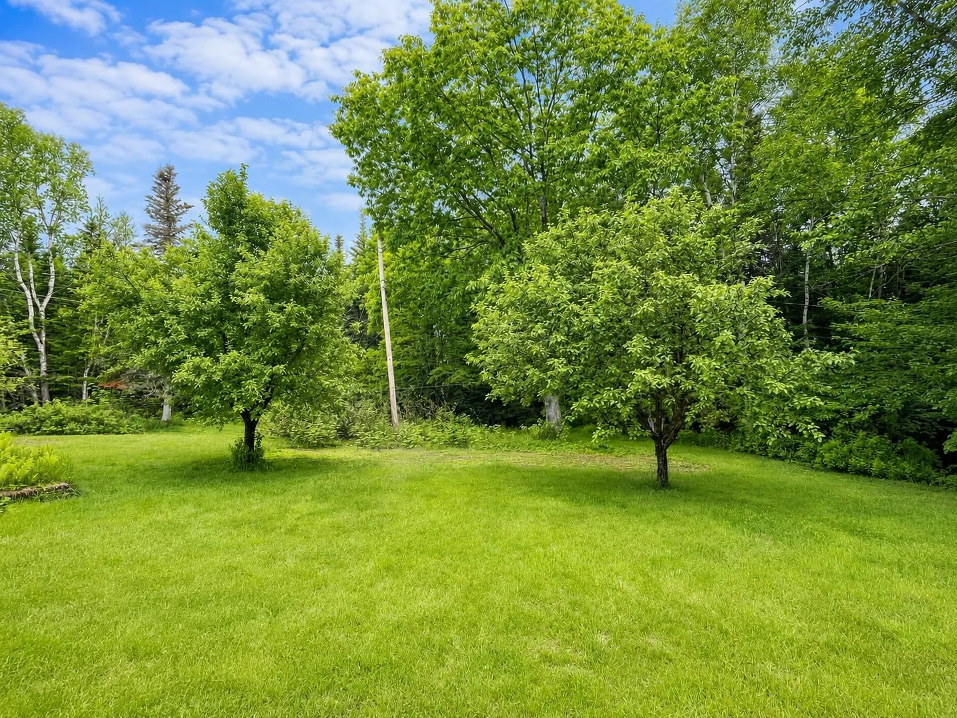 204 Chickwolnepy Road Milan NH 03588