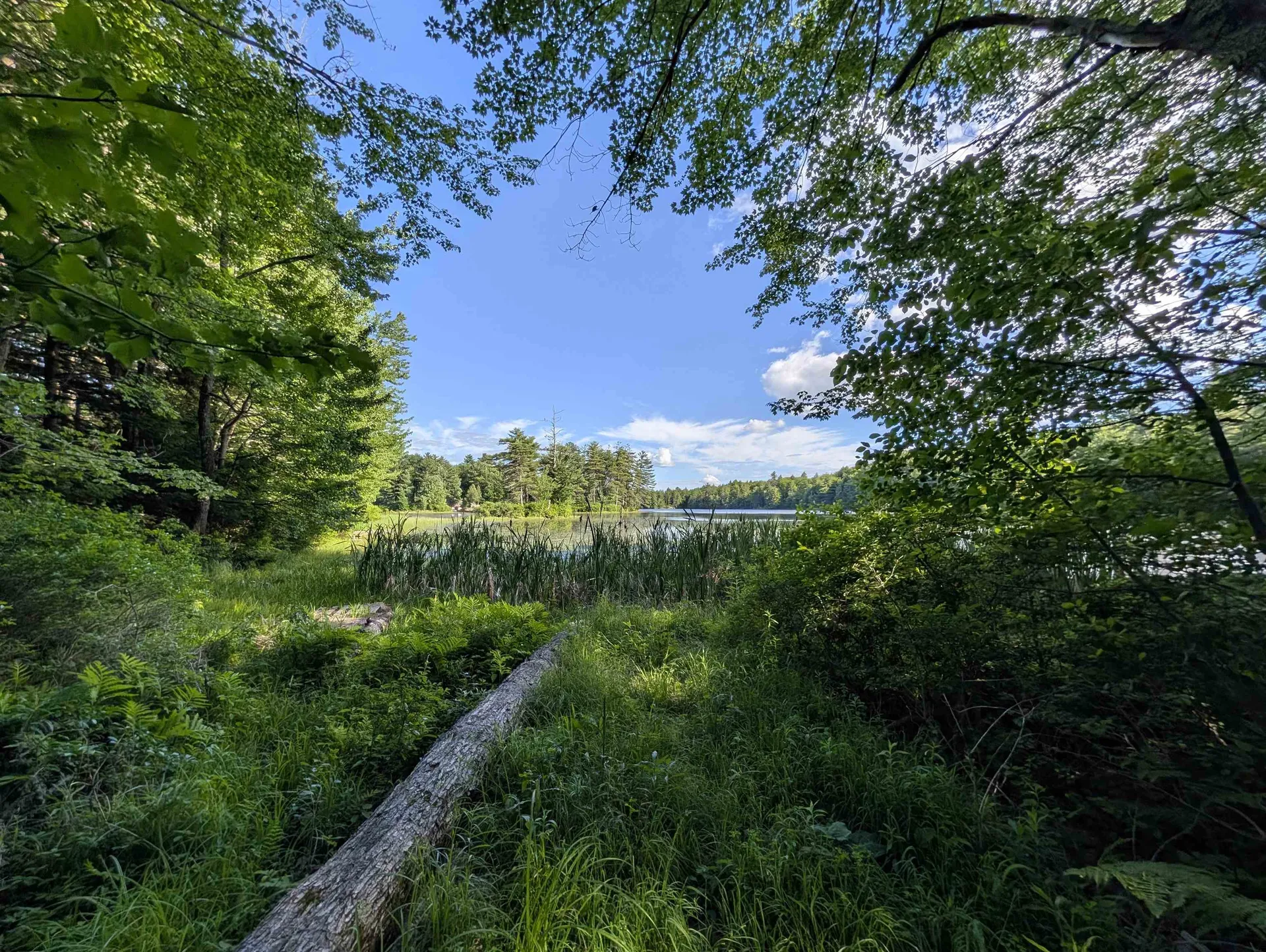 7-9 Robin Shore Drive Canterbury NH 03224