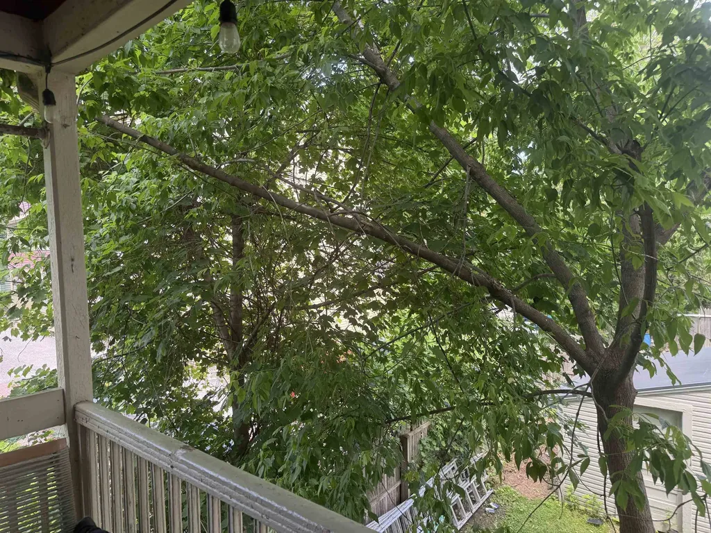 47-49 Greene Street Burlington VT 05401