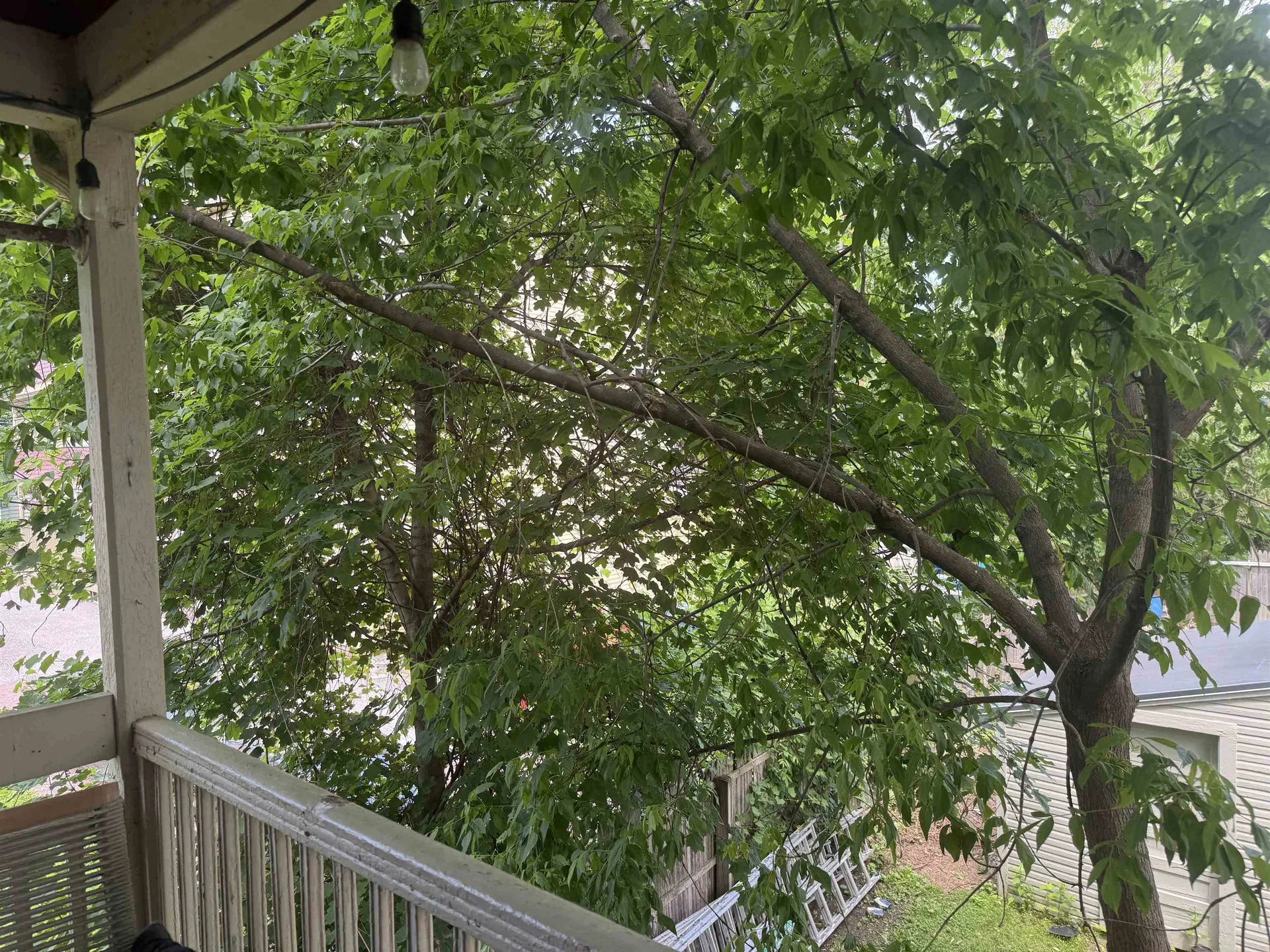 47-49 Greene Street Burlington VT 05401