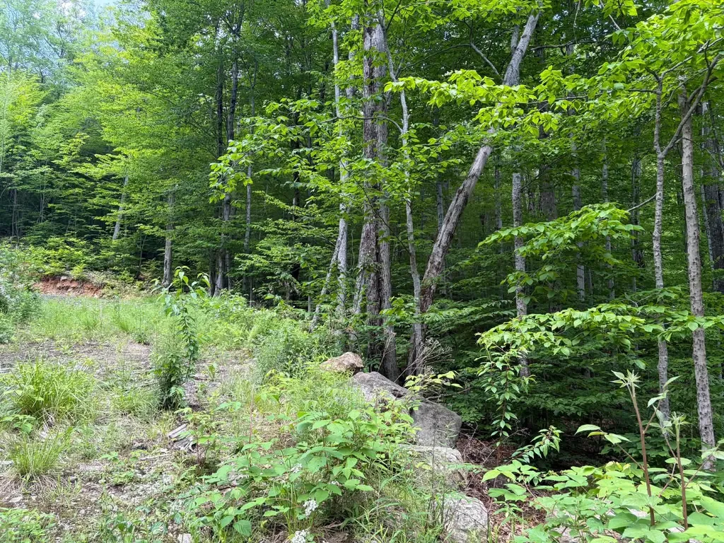 1336 Washburn Road Alexandria NH 03222