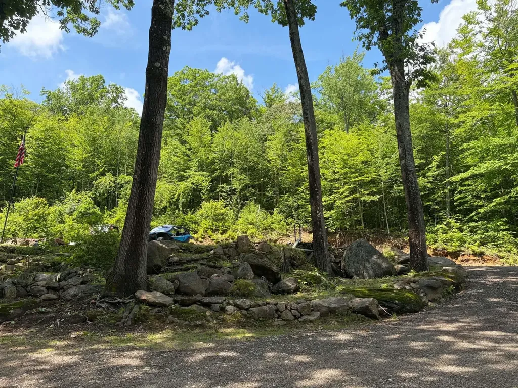 1336 Washburn Road Alexandria NH 03222