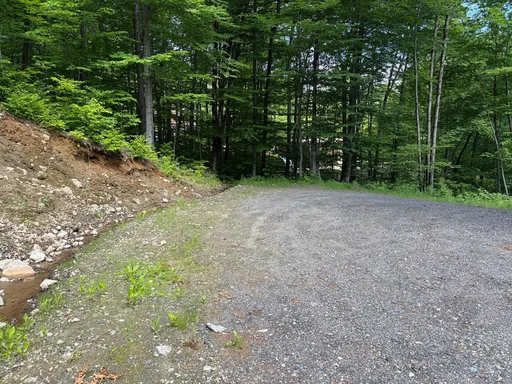 1336 Washburn Road Alexandria NH 03222