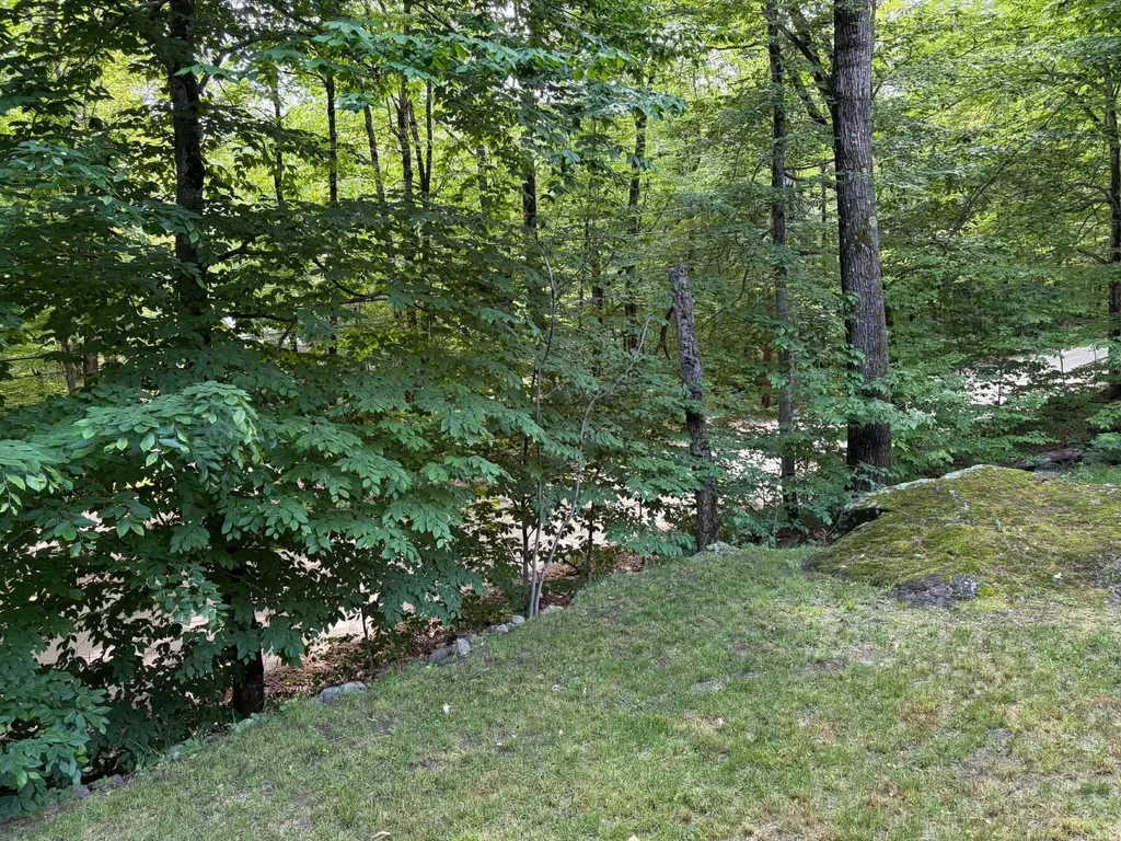 1336 Washburn Road Alexandria NH 03222