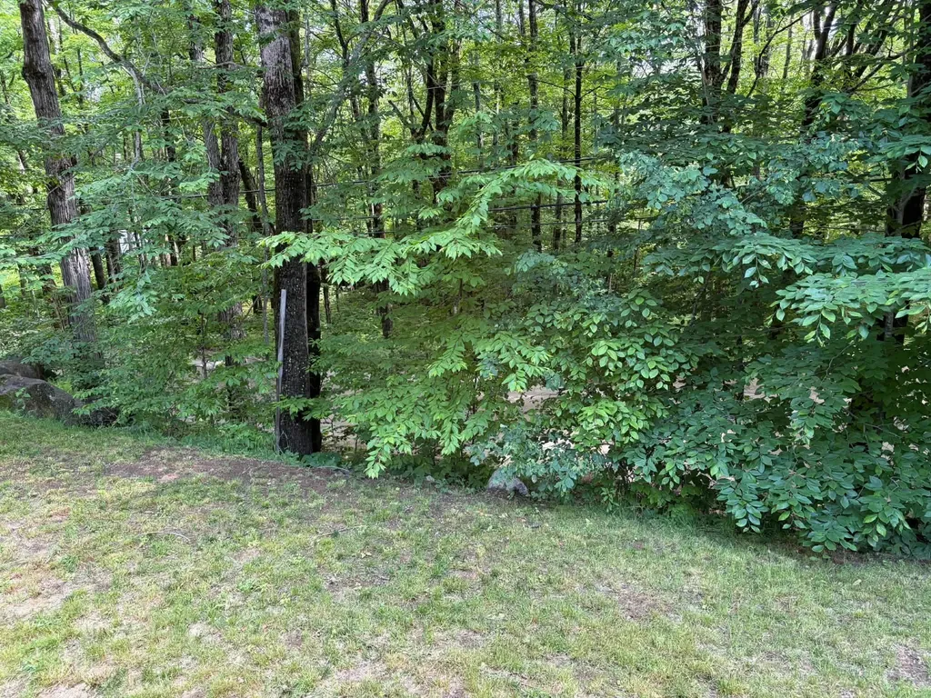 1336 Washburn Road Alexandria NH 03222