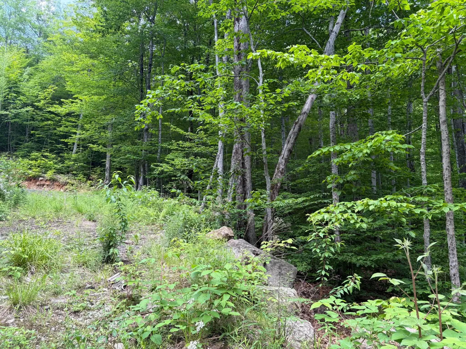 1336 Washburn Road Alexandria NH 03222