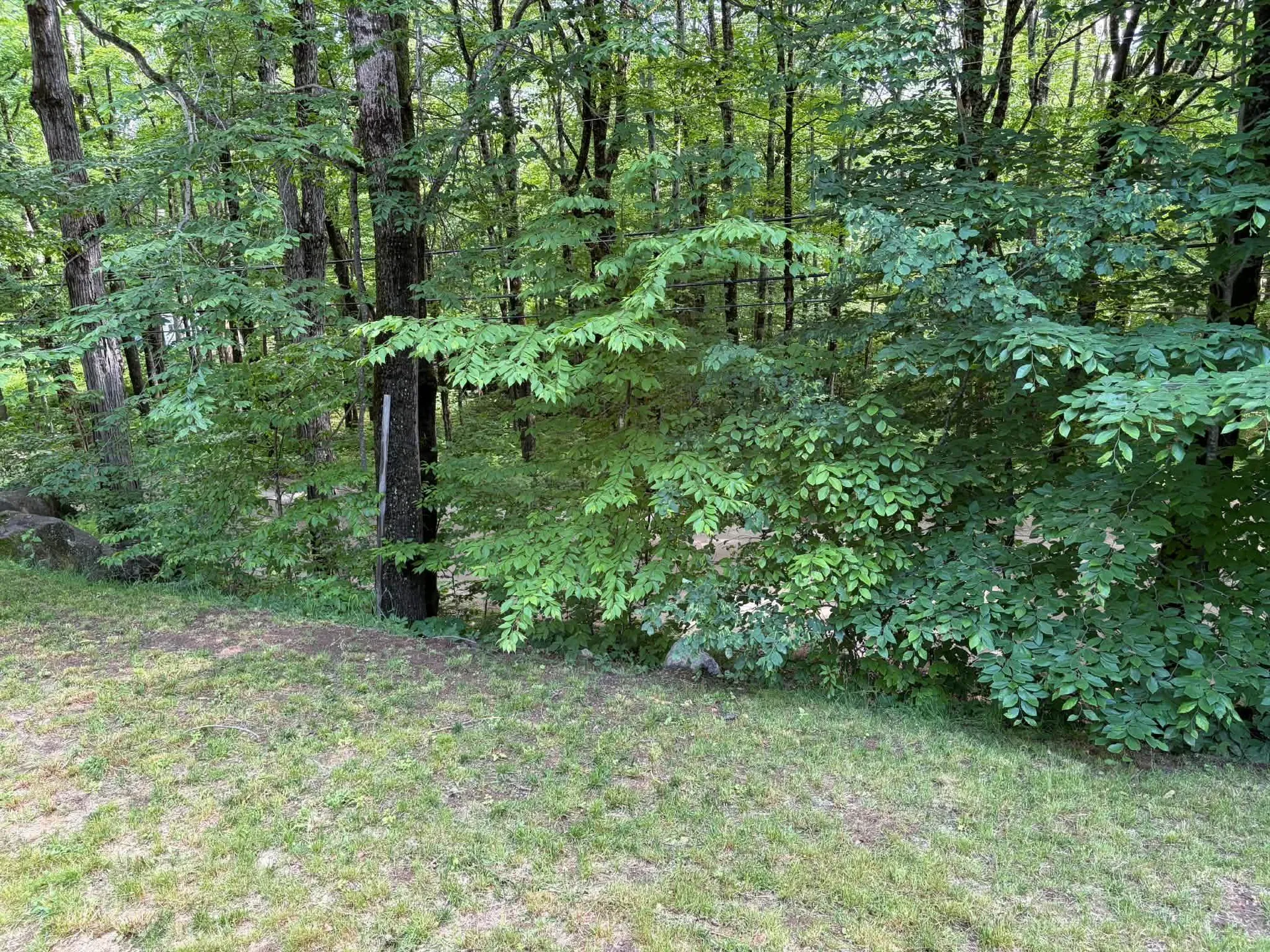1336 Washburn Road Alexandria NH 03222