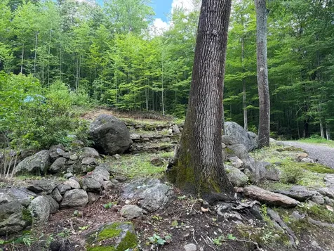 1336 Washburn Road Alexandria NH 03222