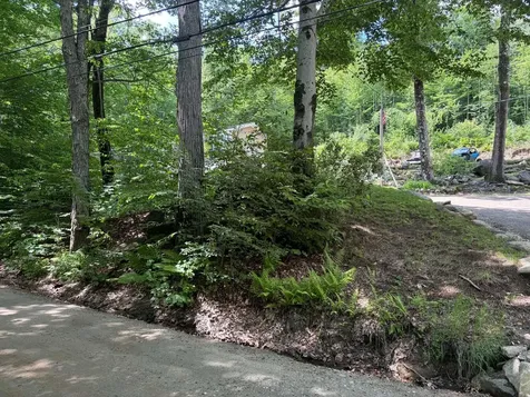1336 Washburn Road Alexandria NH 03222