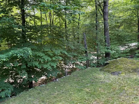 1336 Washburn Road Alexandria NH 03222