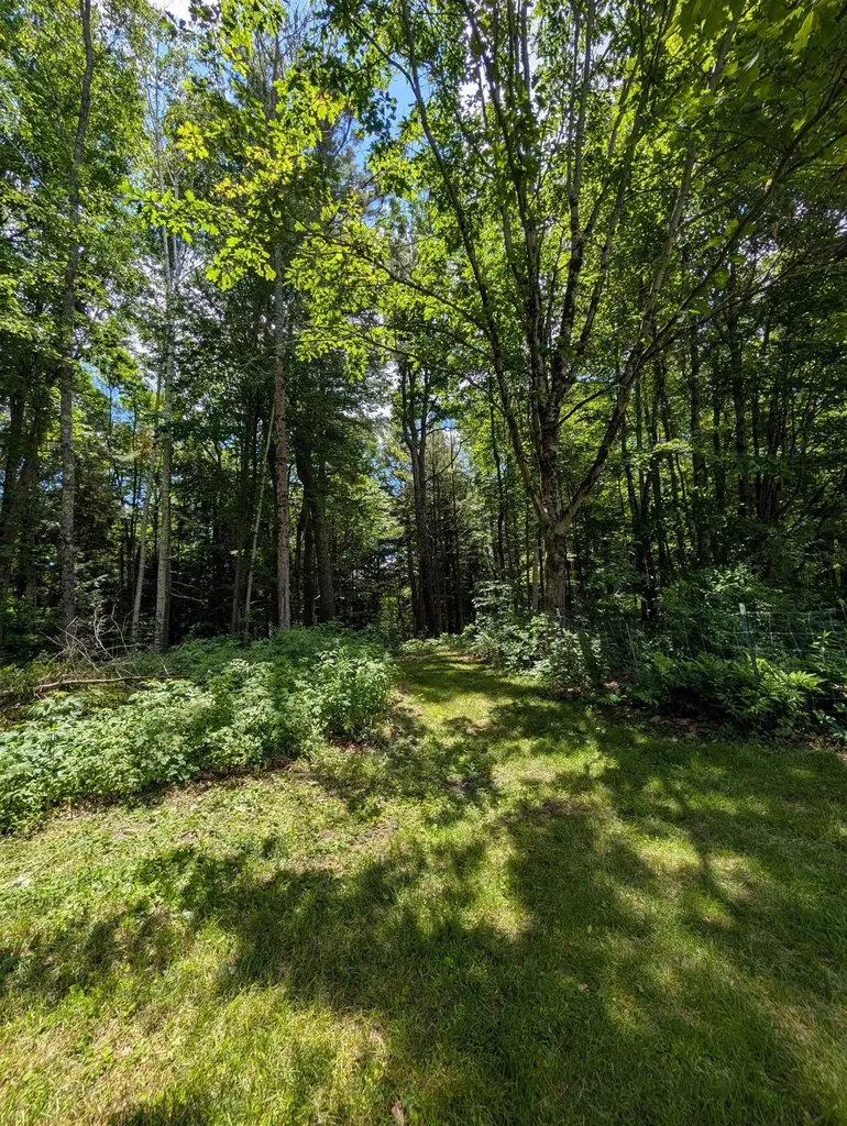 315 Route 4a Castleton VT 05735
