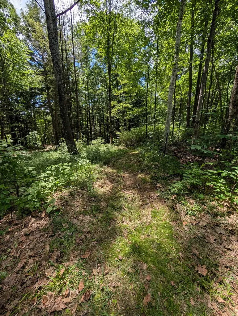 315 Route 4a Castleton VT 05735