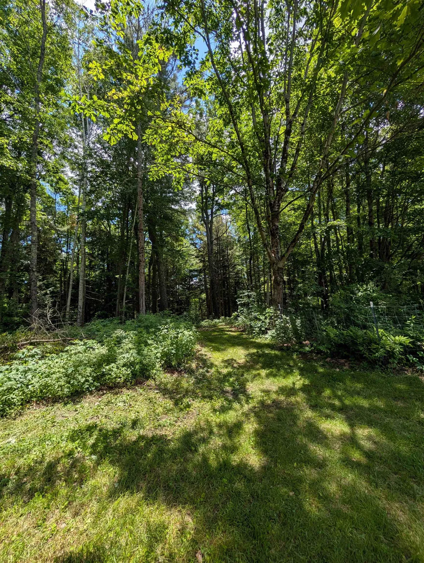 315 Route 4a Castleton VT 05735