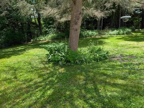 315 Route 4a Castleton VT 05735