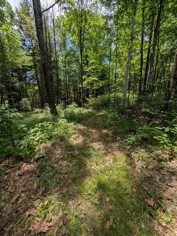 315 Route 4a Castleton VT 05735