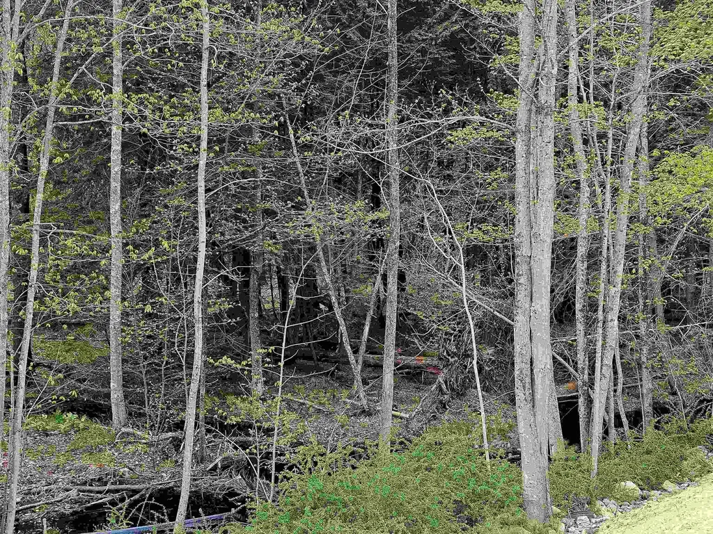 86 Spring Street Farmington NH 03835