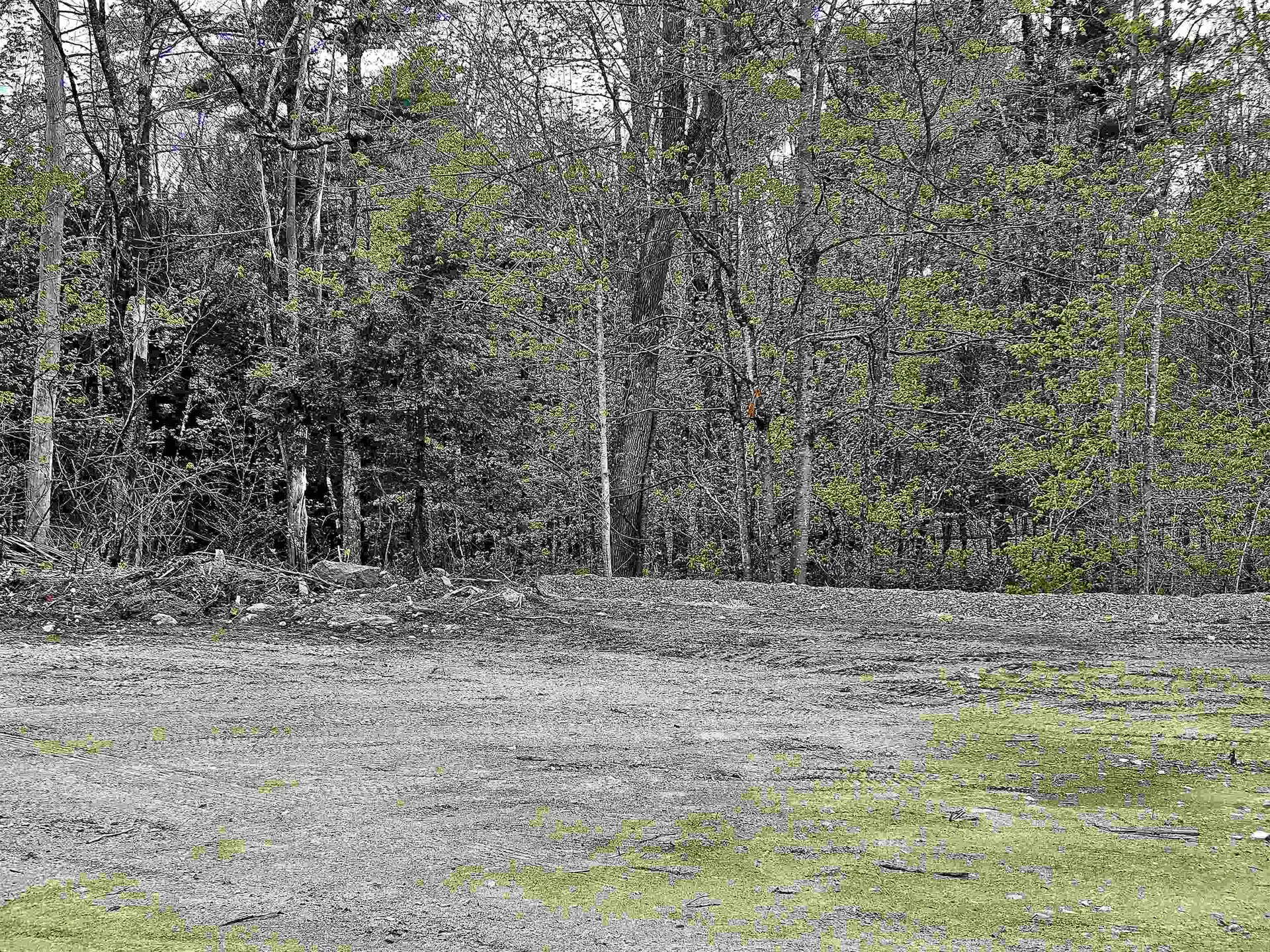 86 Spring Street Farmington NH 03835