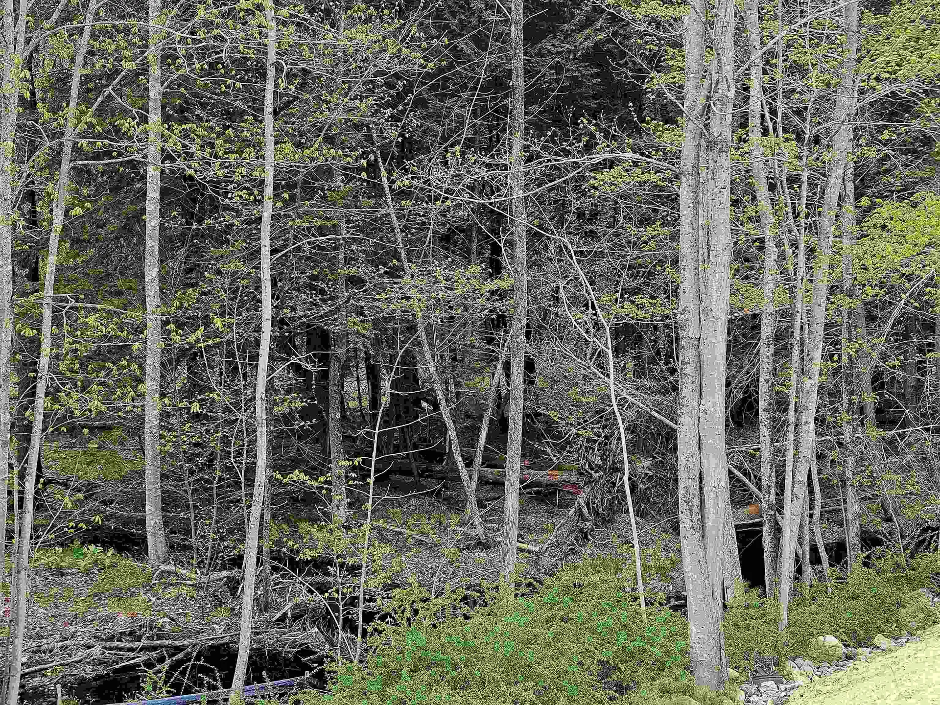 86 Spring Street Farmington NH 03835