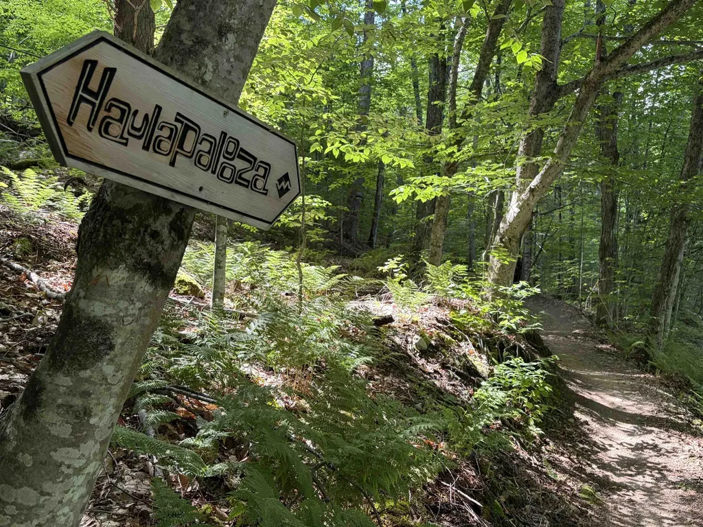 184 Wildewood Lane Stowe VT 05672